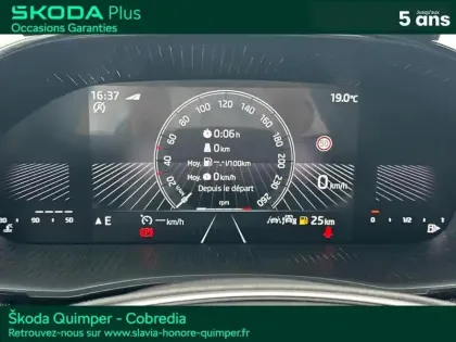 Photo 14 Skoda Fabia  1.0 TSI Evo2 95ch Selection