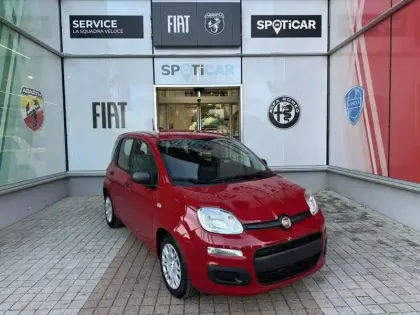Photo Fiat Panda Icône