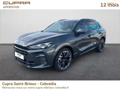 Photo Cupra Terramar V