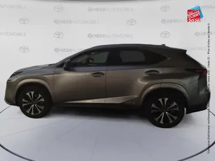 Photo 8 Lexus Nx  300h 2WD Design MY21