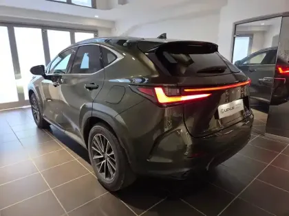 Photo 14 Lexus Nx  350h Luxe 2WD MY24