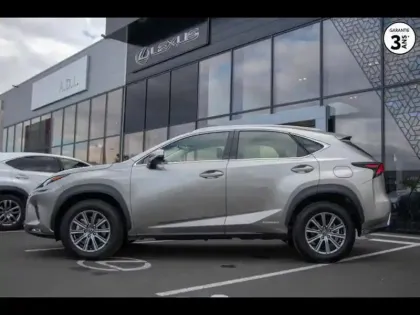 Photo 12 Lexus Nx  300h 2WD Pack Business JA 17