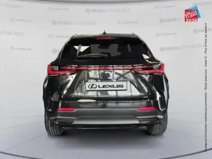 Photo 6 Lexus Nx  350h Luxe 4WD