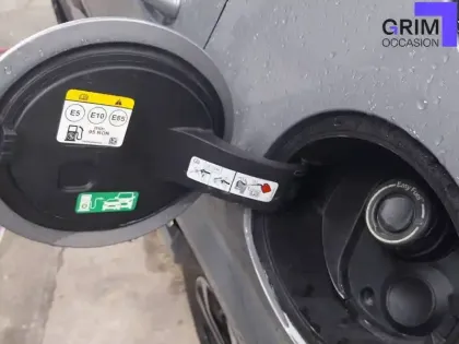 Photo 19 Ford Puma  1.0 Flexifuel 125 ch mHEV S&S BVM6