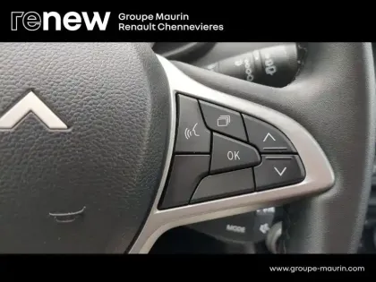 Photo 14 Dacia Sandero  1.0 ECO-G 100ch Stepway Extreme +