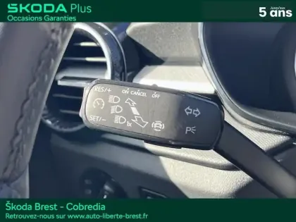 Photo 14 Skoda Fabia  1.0 TSI 95ch Ambition