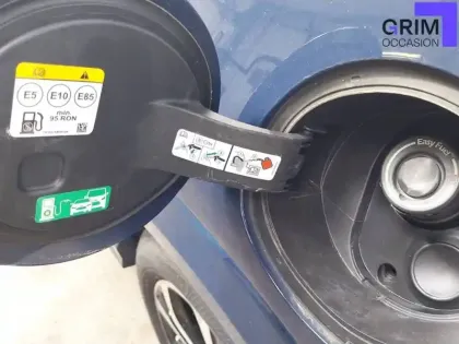 Photo 19 Ford Puma  1.0 Flexifuel 125 ch mHEV S&S BVM6