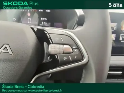 Photo 14 Skoda Fabia  1.0 TSI Evo2 116ch Selection DSG7