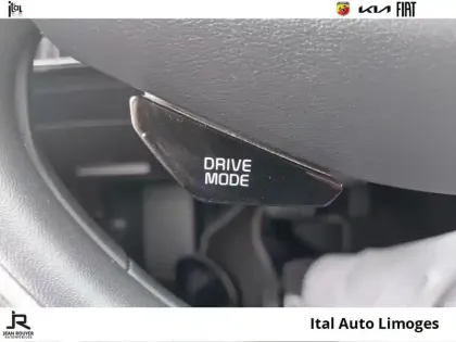 Photo 13 Kia Niro  EV 204ch Active