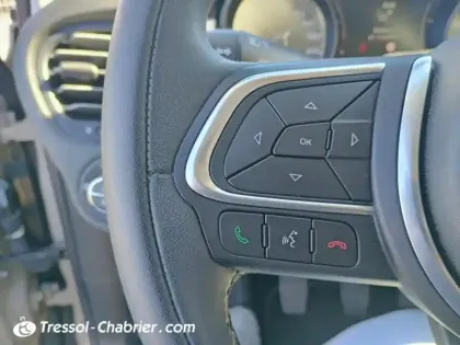 Photo 18 Fiat 500 Gén. I Ph2 City Cross 5