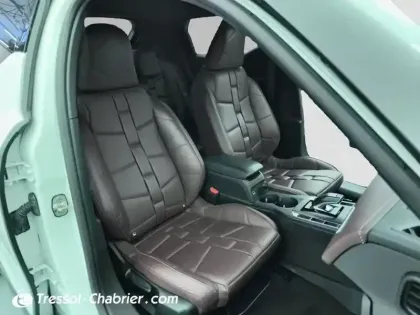 Photo 23 DS DS 3 DS3 Crossback PureTech 155 EAT8 La Première