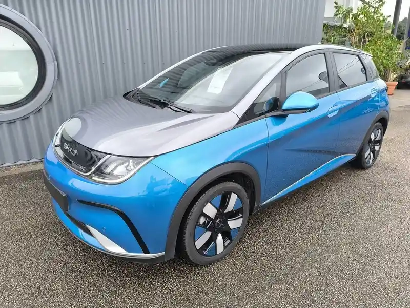 Photo Byd Dolphin Design