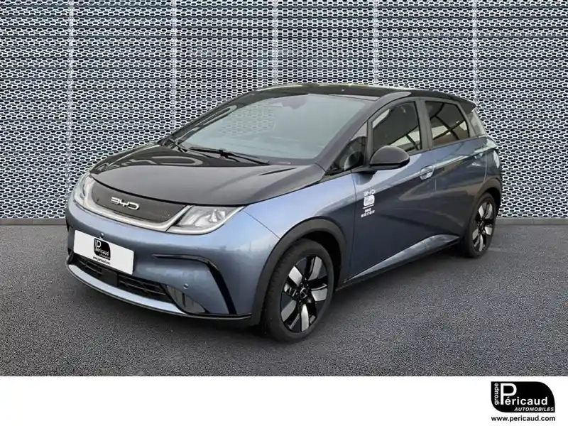 Photo Byd Dolphin Design