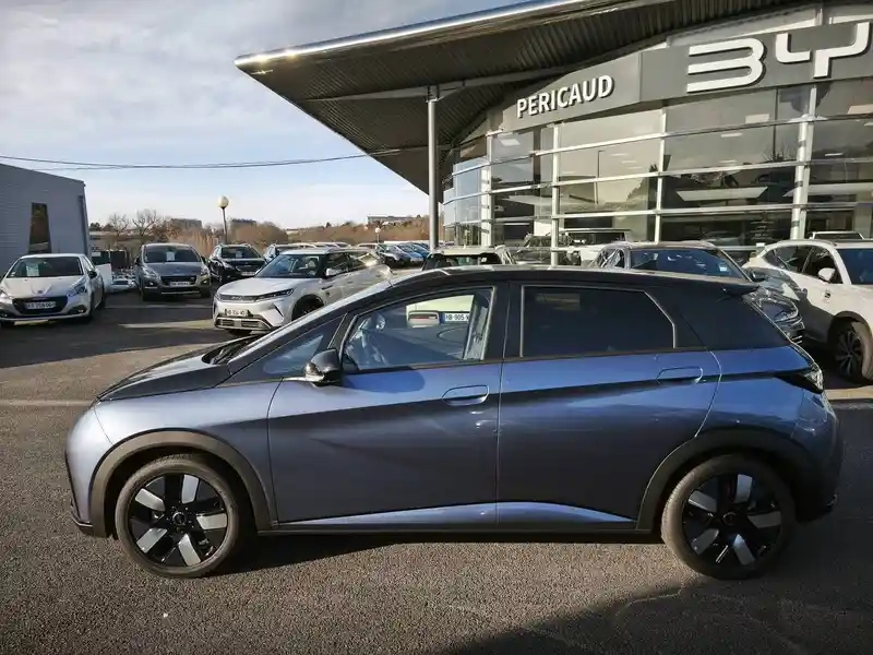 Photo Byd Dolphin Design