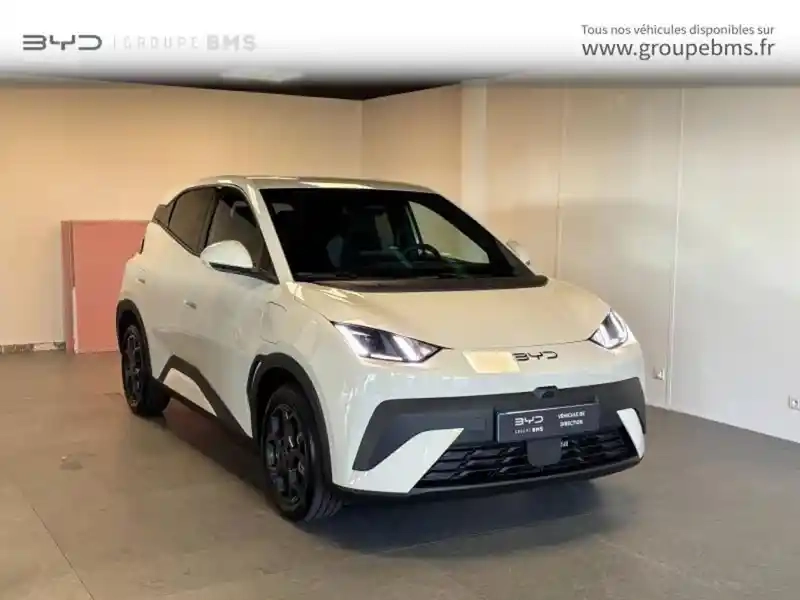 Photo Byd Dolphin Surf