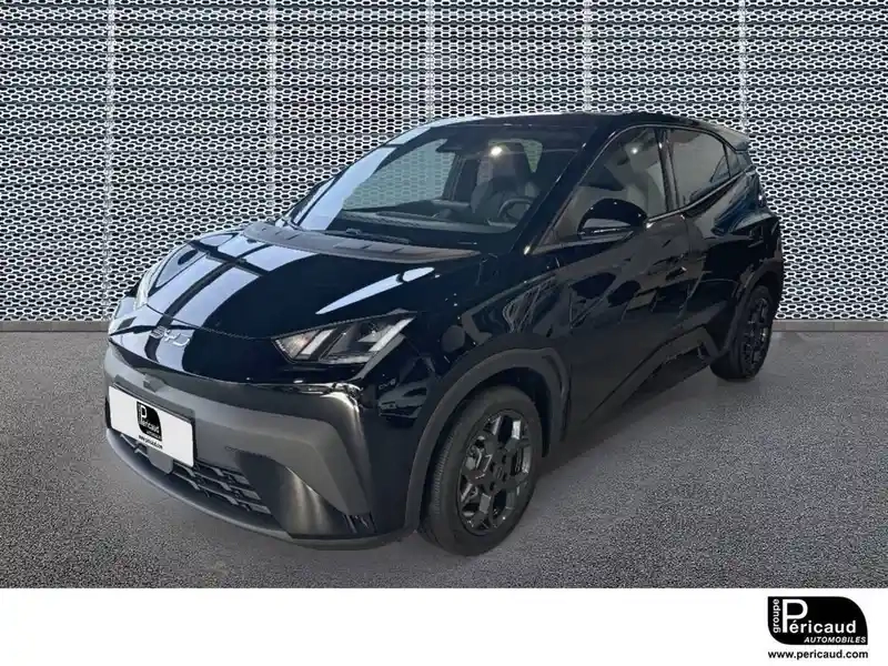 Photo Byd Dolphin Surf Comfort