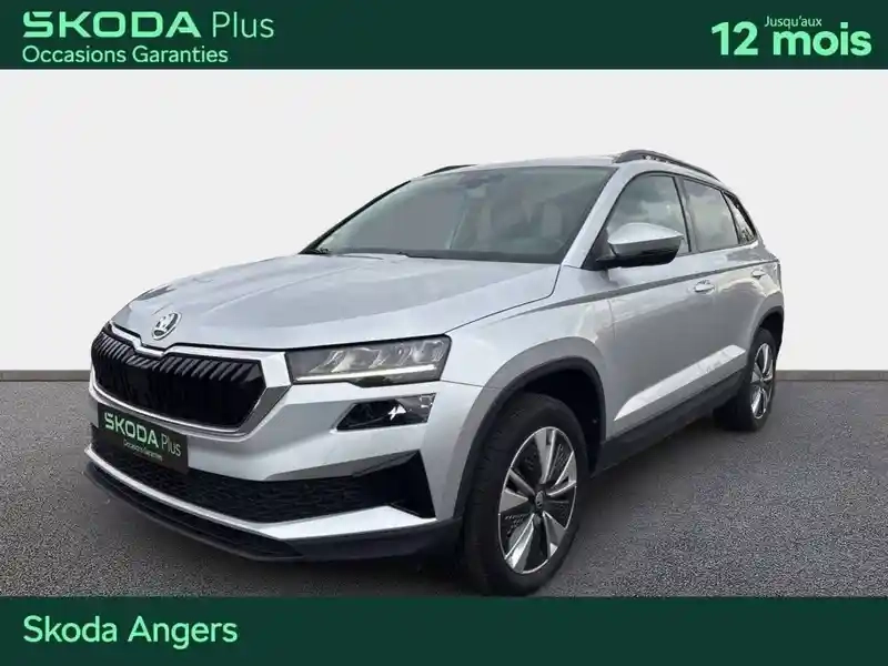 Photo Skoda Karoq Business