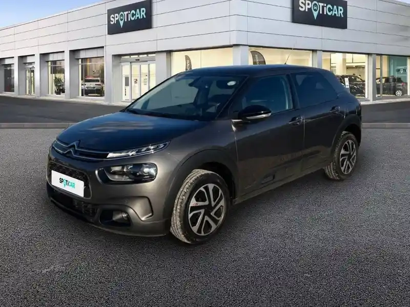 Photo Citroën C4 Cactus Feel Business