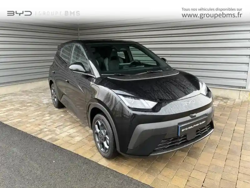 Photo Byd Dolphin Surf