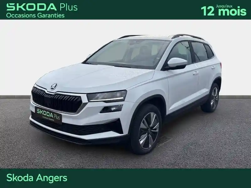 Photo Skoda Karoq Business