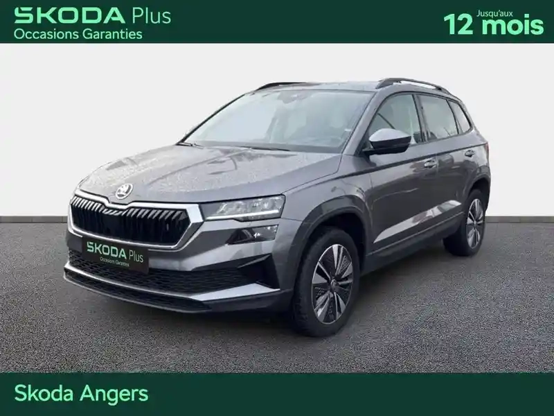 Photo Skoda Karoq Business