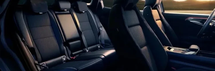 habitacle-arriere-austral