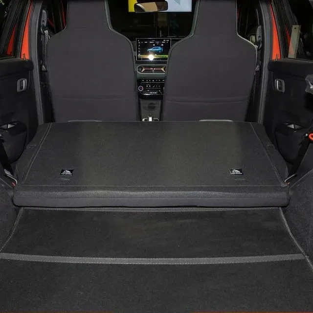 coffre-dacia-spring-65