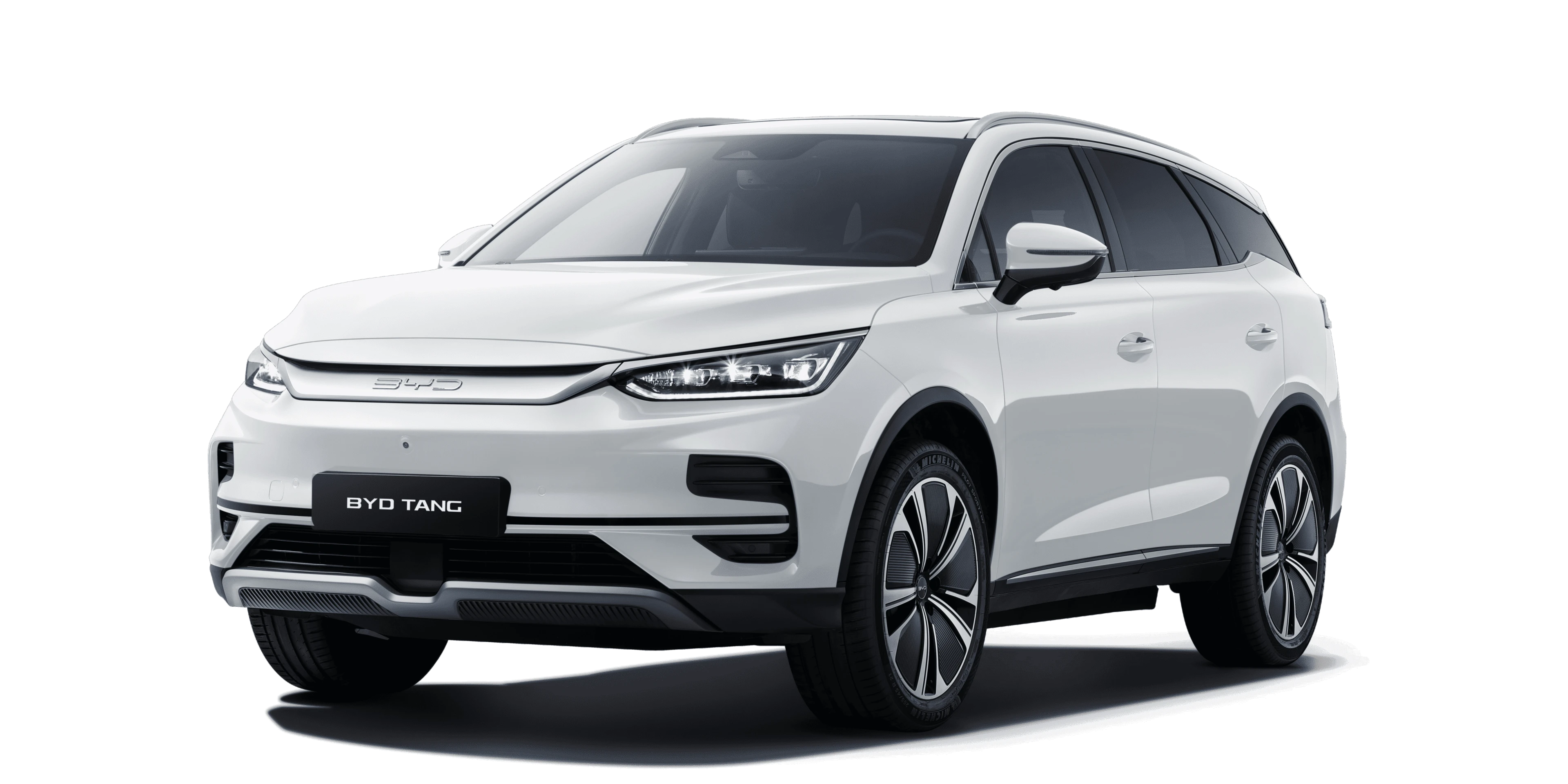 490f41037f9d853c865f79914ed8b06dedf5818f_Tang_white_profile