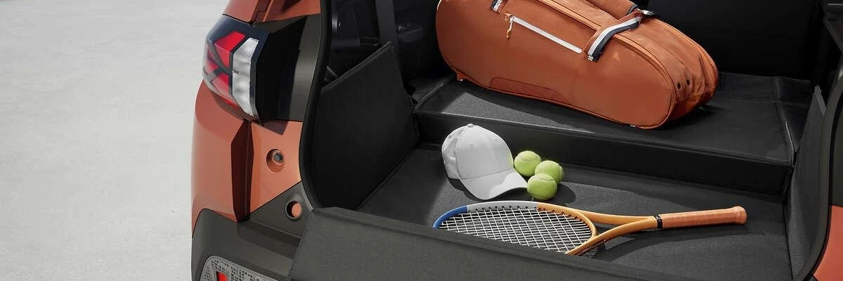 coffre-dacia-spring-54