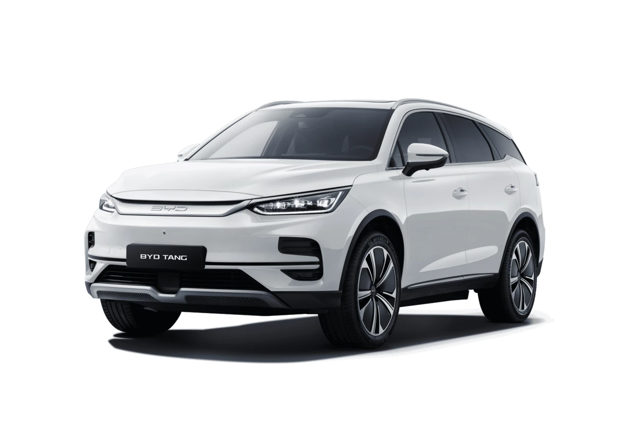 490f41037f9d853c865f79914ed8b06dedf5818f_Tang_white_profile